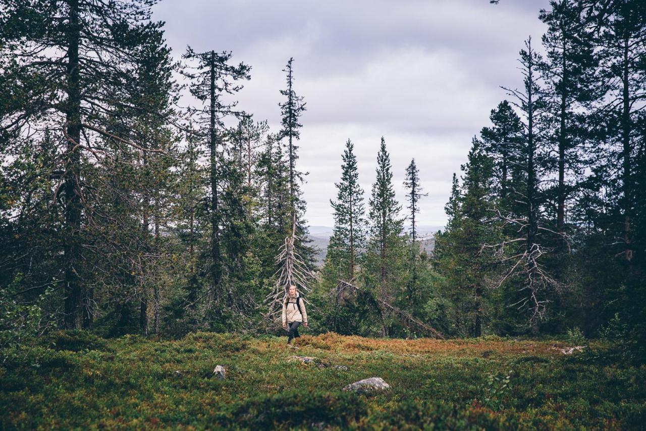 Lapland Hotels Riekonlinna Saariselka Exteriér fotografie
