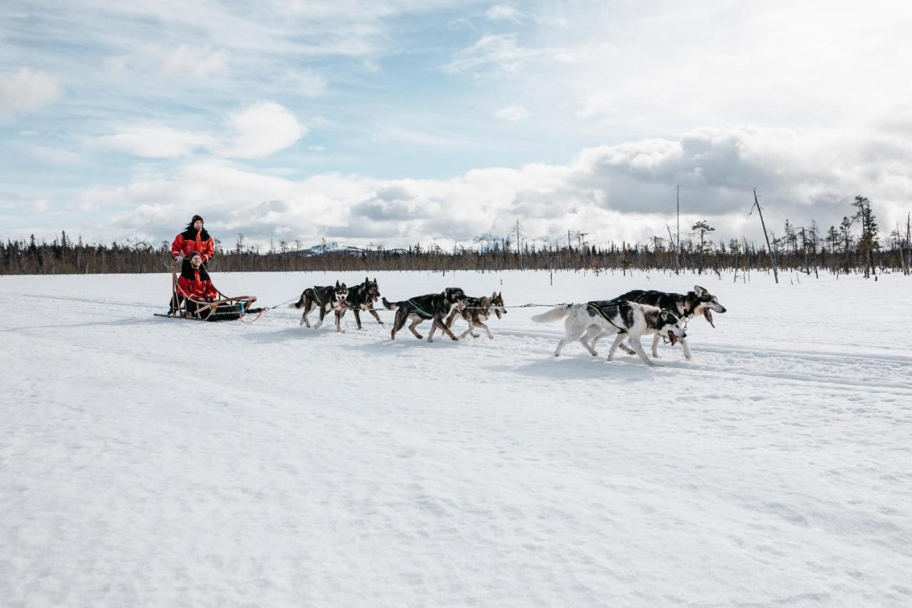 Lapland Hotels Riekonlinna Saariselka Exteriér fotografie